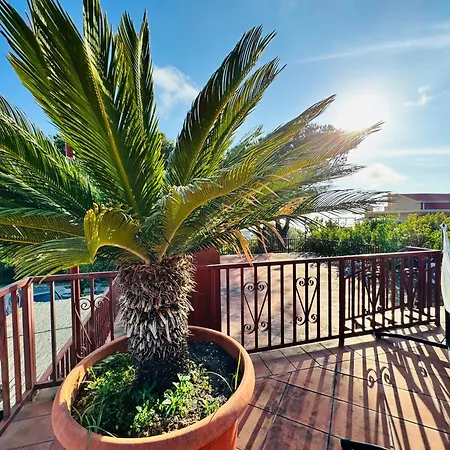 B&B Iolì Vesuvio-2